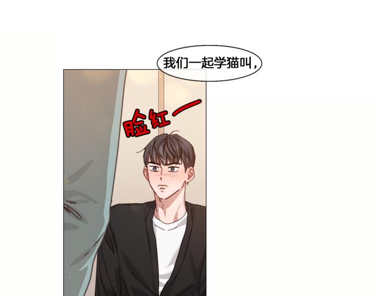 第37话 学猫叫38