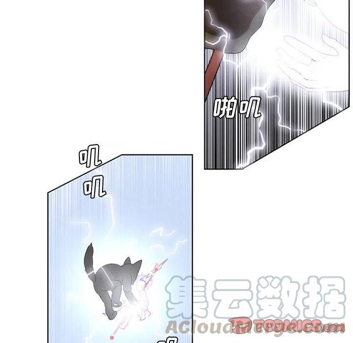 5561