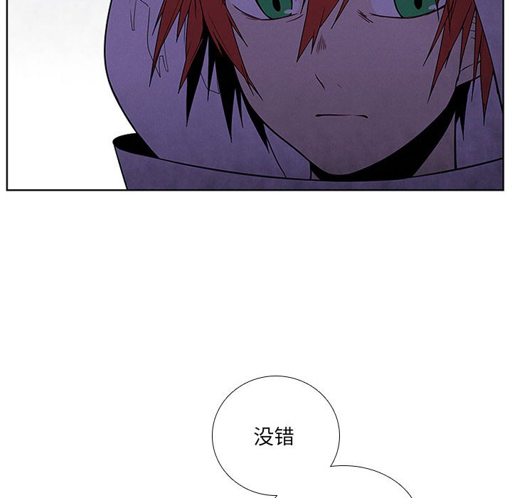 8243