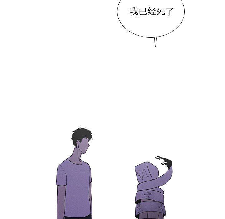 8244