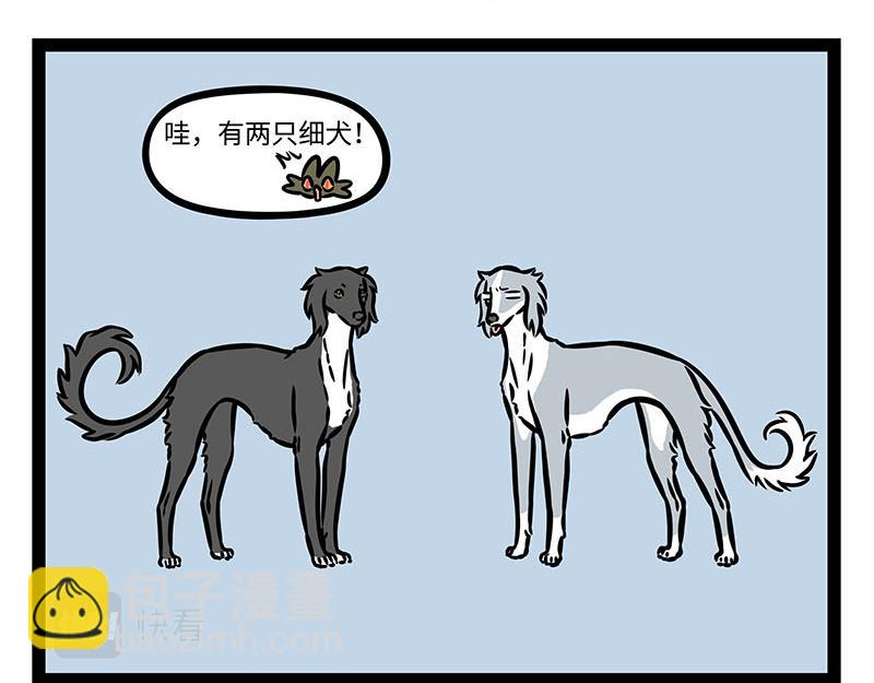 第355话 细犬15