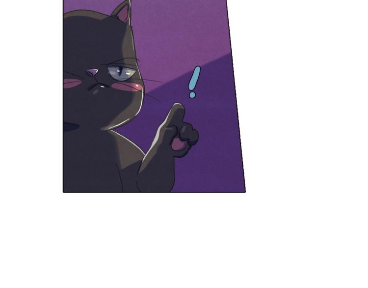 第24话 我要买下那只说话猫！10