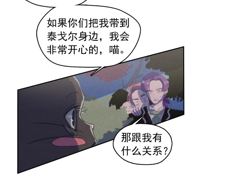 第24话 我要买下那只说话猫！13