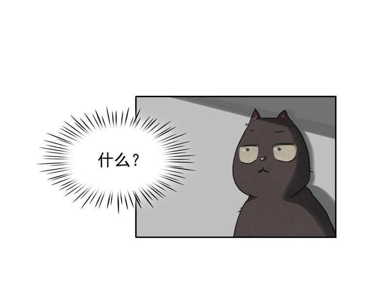 第24话 我要买下那只说话猫！39