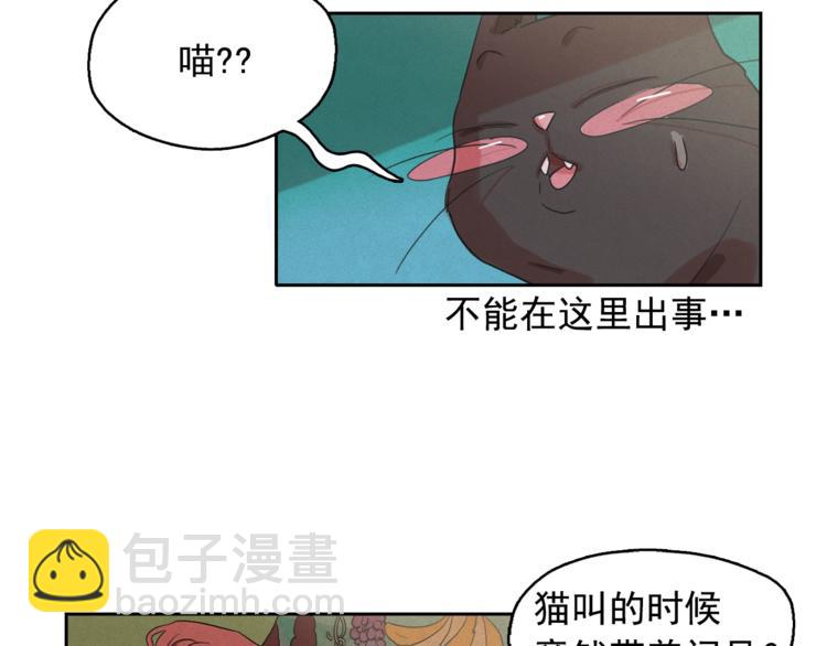 第24话 我要买下那只说话猫！52