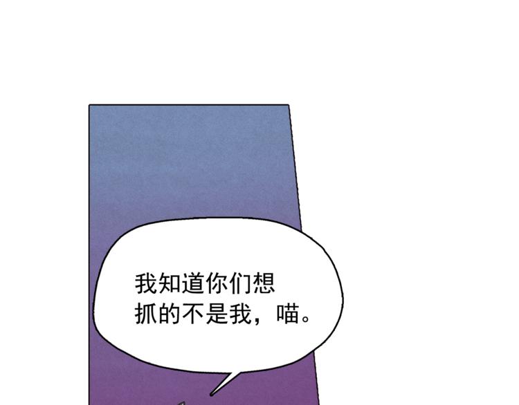 第24话 我要买下那只说话猫！9