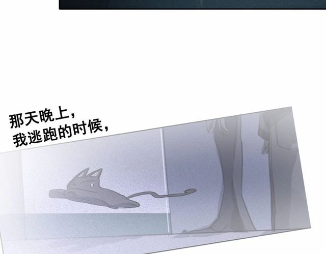 第61话 美男的能力100