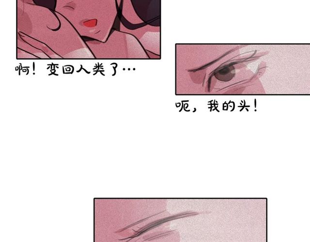 第61话 美男的能力55