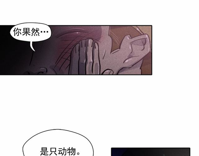 第63话 未来的王妃37