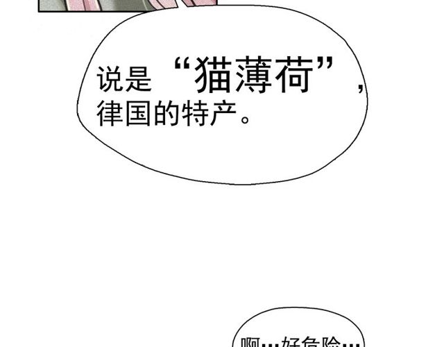 第65话 猫薄荷25