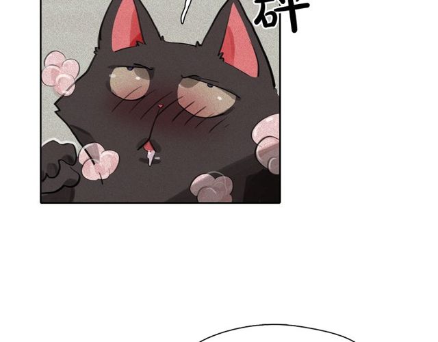 第65话 猫薄荷32