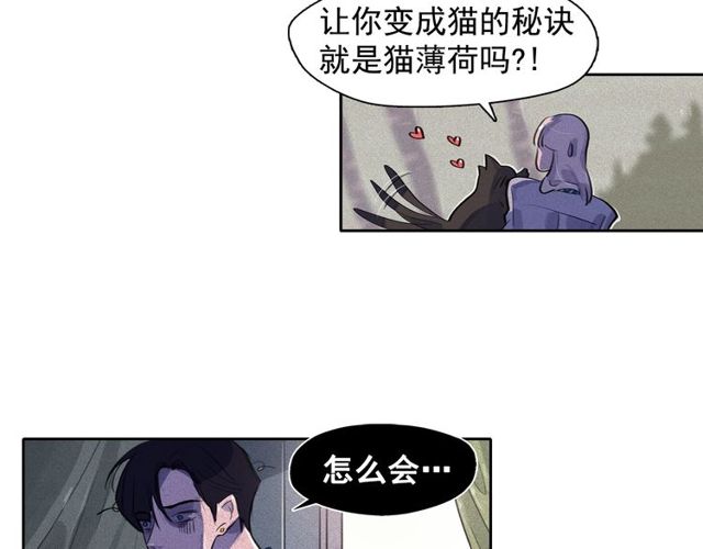 第65话 猫薄荷33