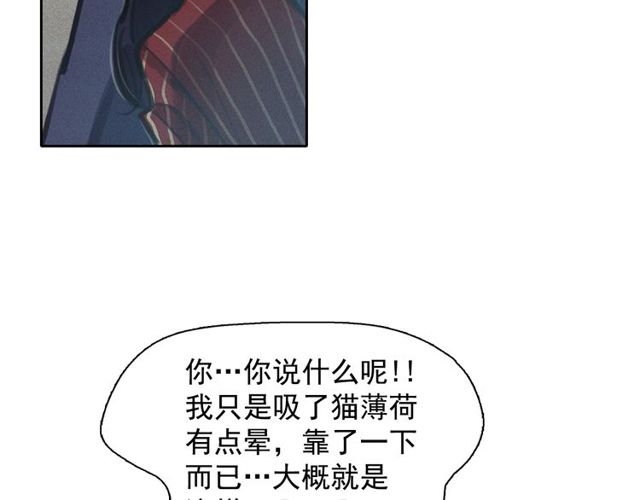 第65话 猫薄荷69