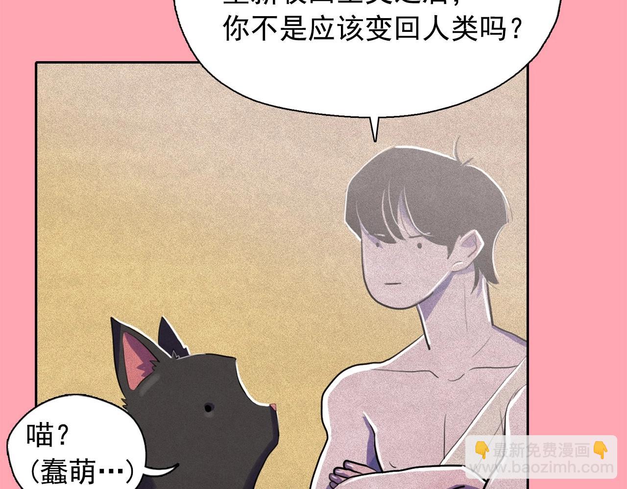 第41话 背后全是伤口的美男3