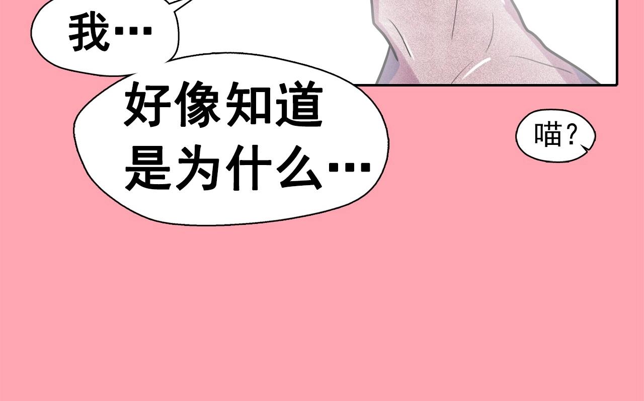 第41话 背后全是伤口的美男7