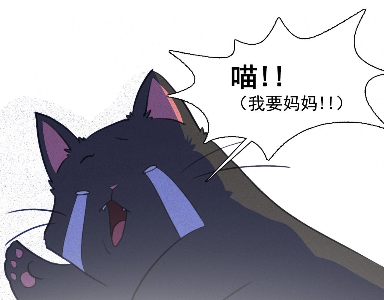 第55话 狸猫换太子？46