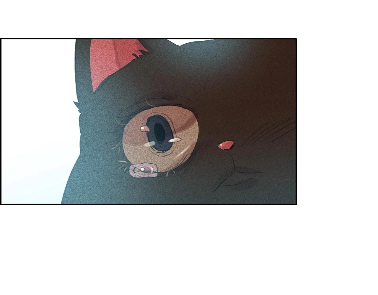 第55话 狸猫换太子？95