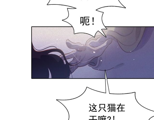 第73话 诱饵62