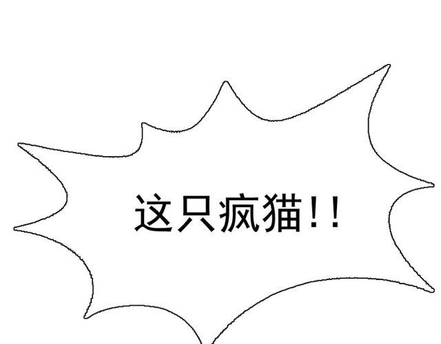 第73话 诱饵67
