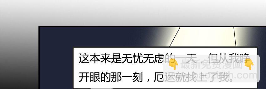 6 武配弦15