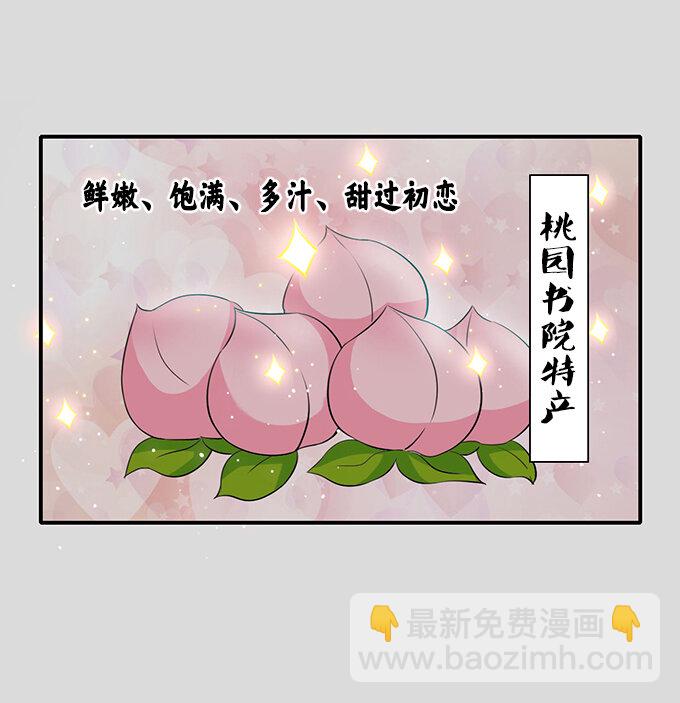 31 公布4