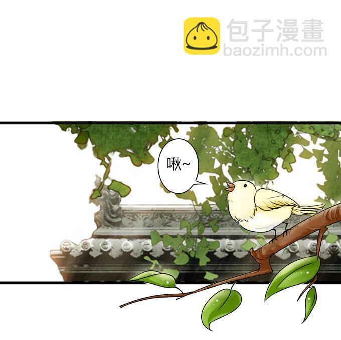 36 男装14