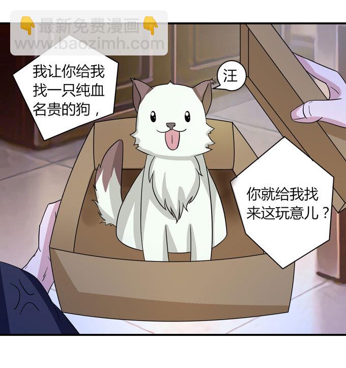 41 二郎神2