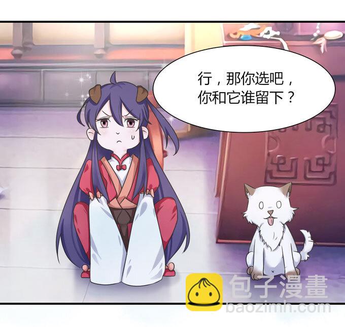 43 谎言29