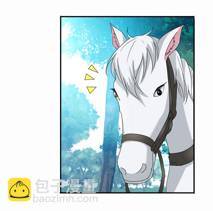 49 赛马3