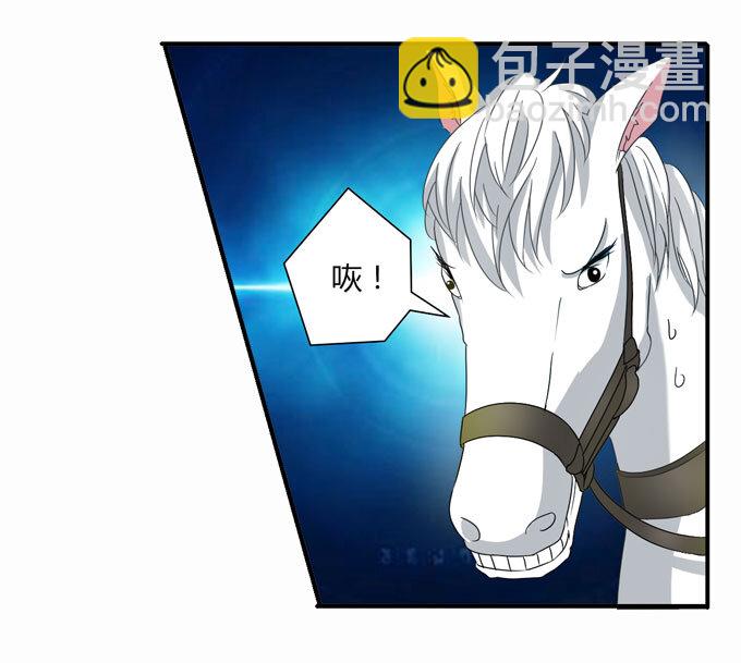 49 赛马5