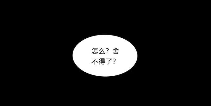 163 苏梨的抉择1