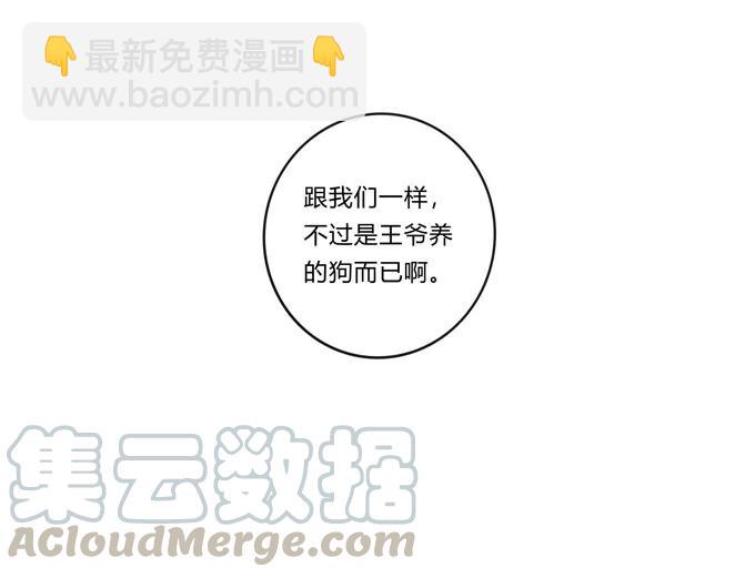 228 毒和狗36