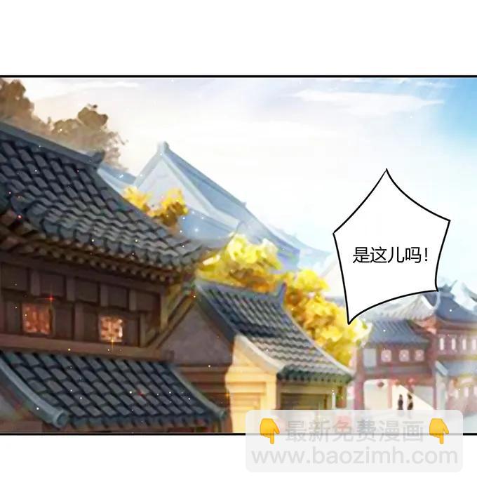 233 追星赢家23