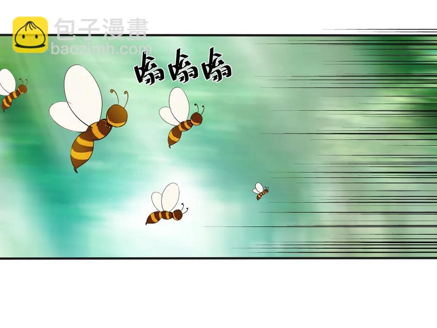 255 两个队伍31