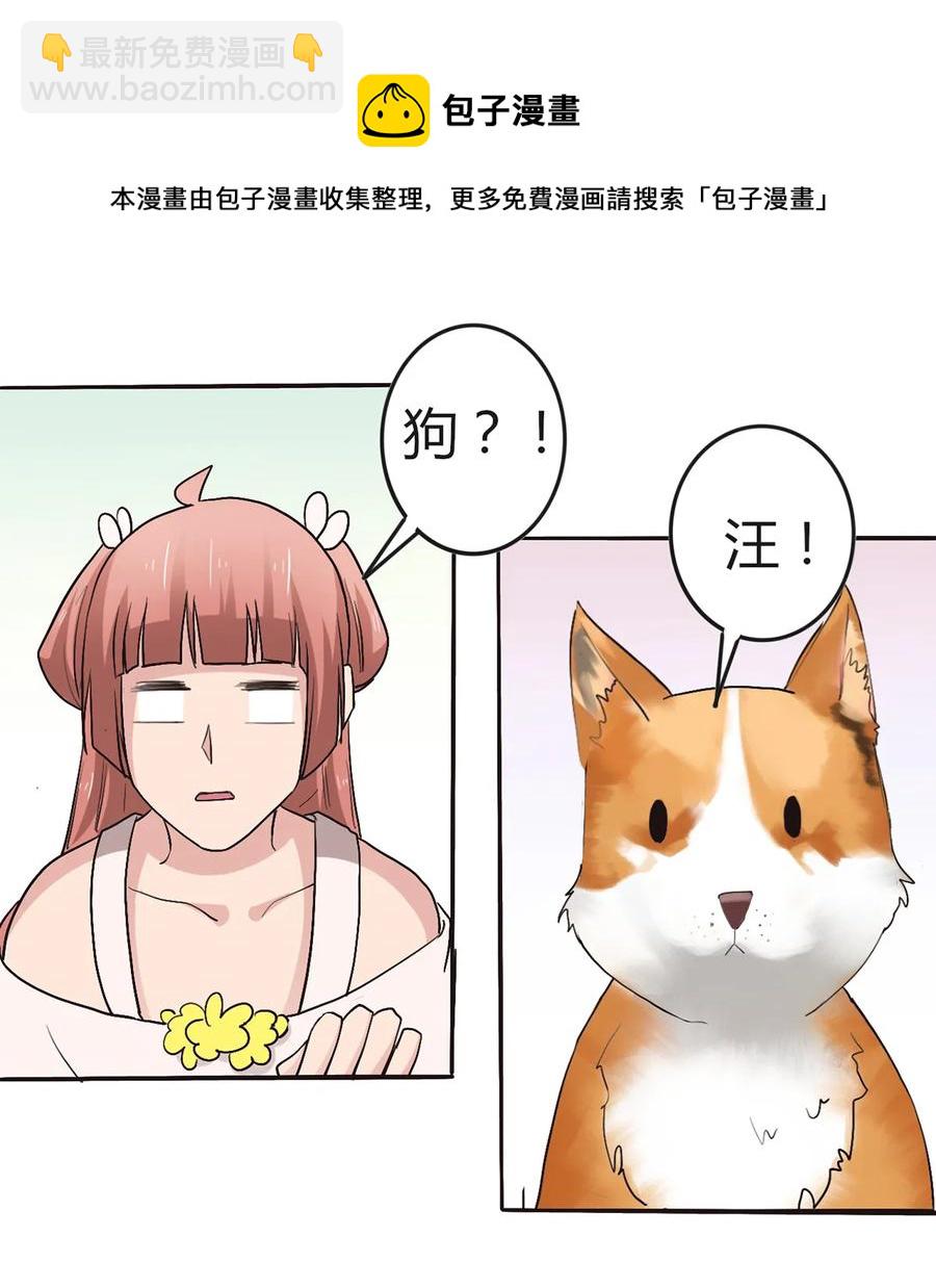 257 成功出逃37