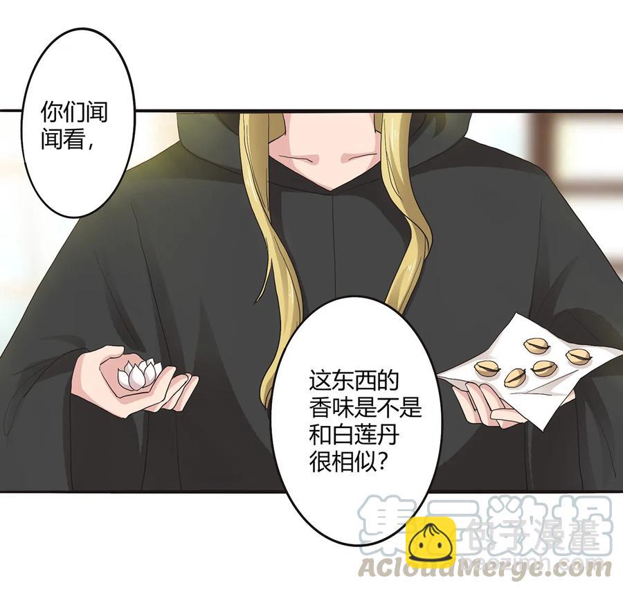 263 白莲丹6