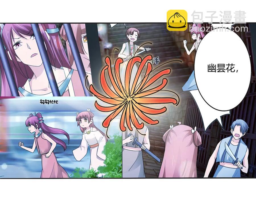 273 朝露昙华是如何炼成的2