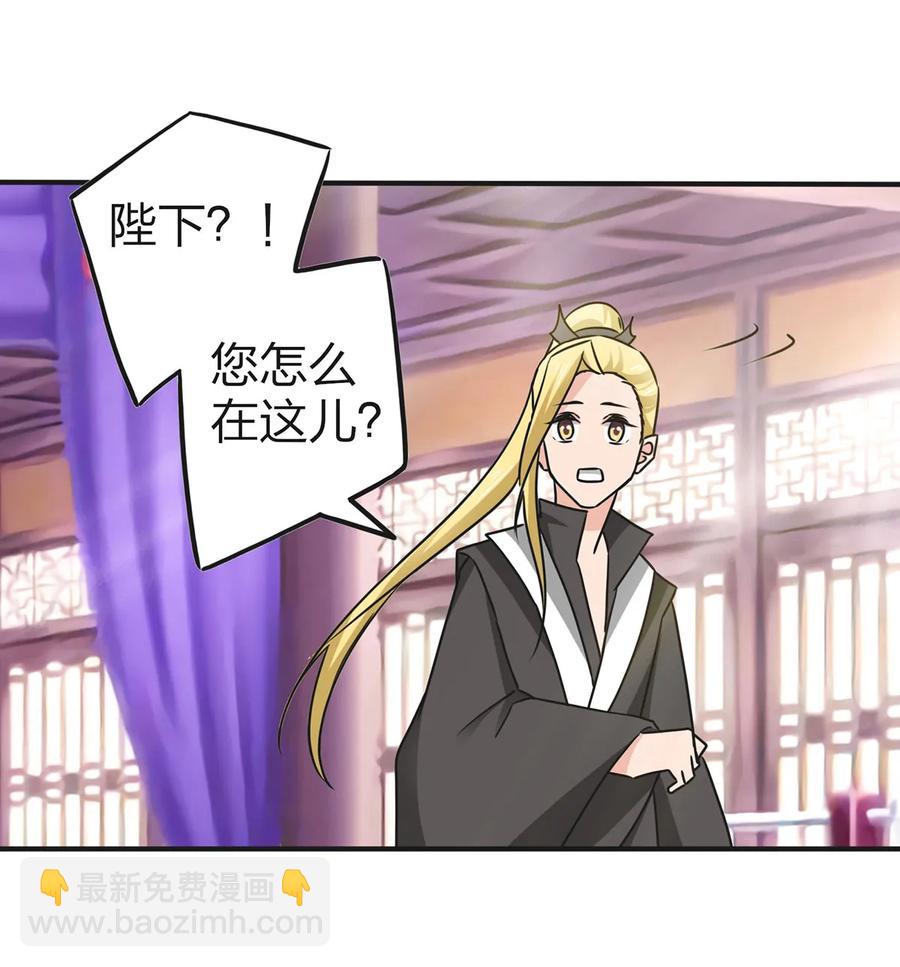 337 梅花三弄26