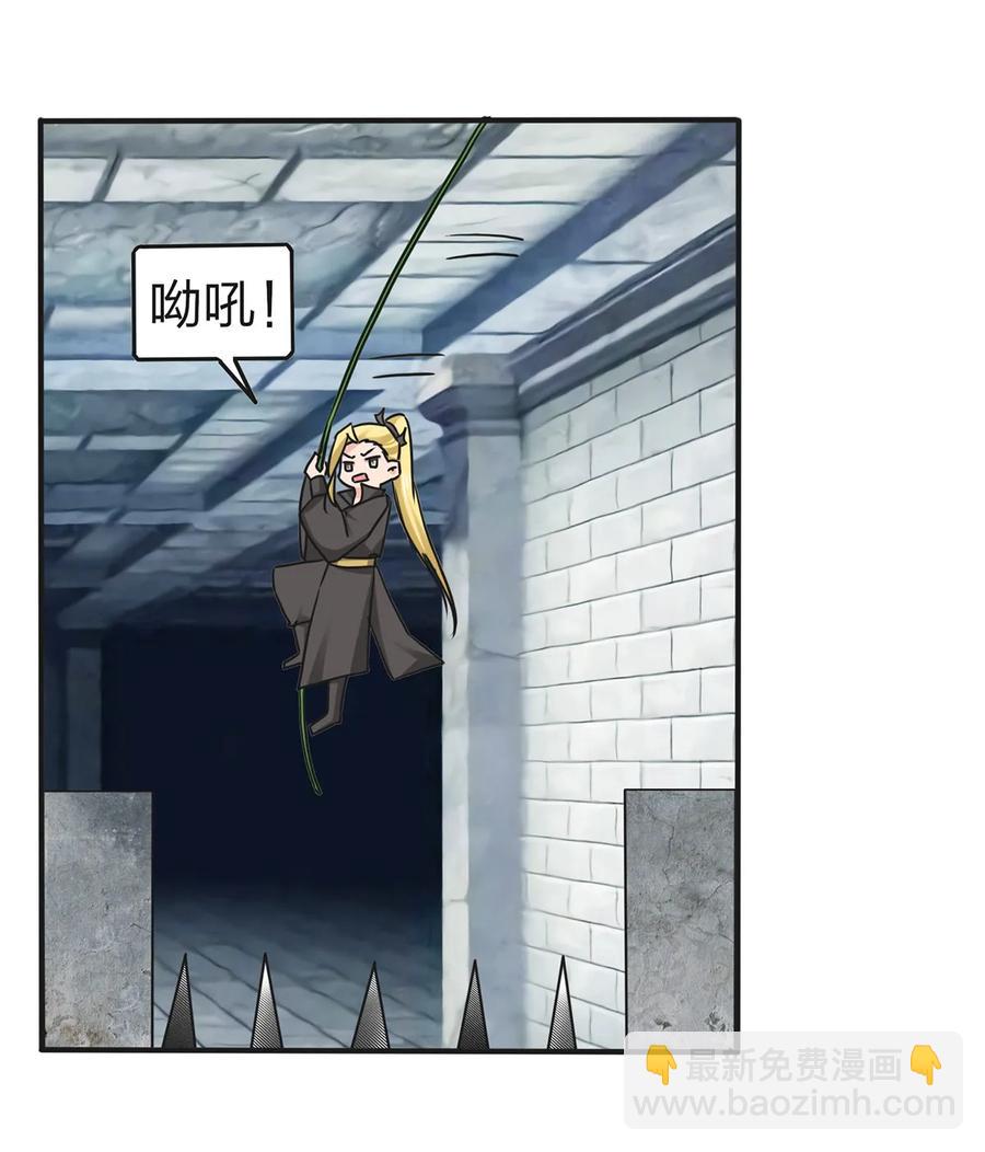 337 梅花三弄8
