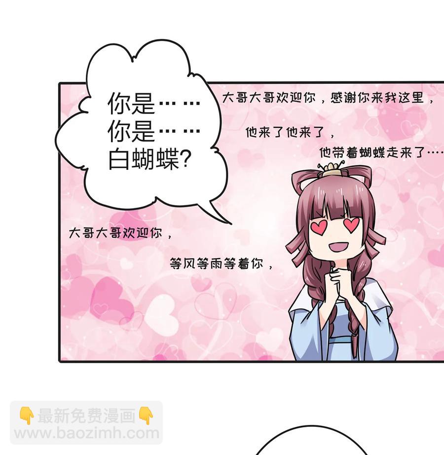 341 白蝴蝶10