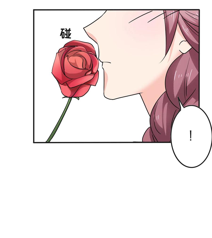 341 白蝴蝶16