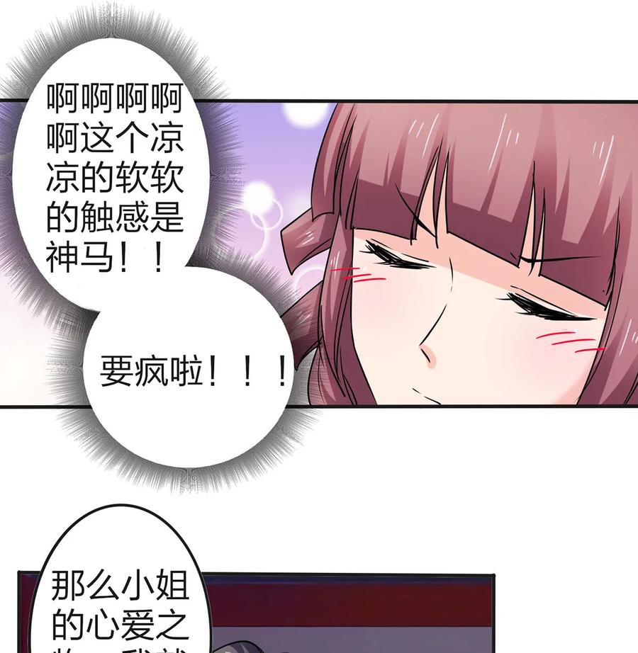 341 白蝴蝶17
