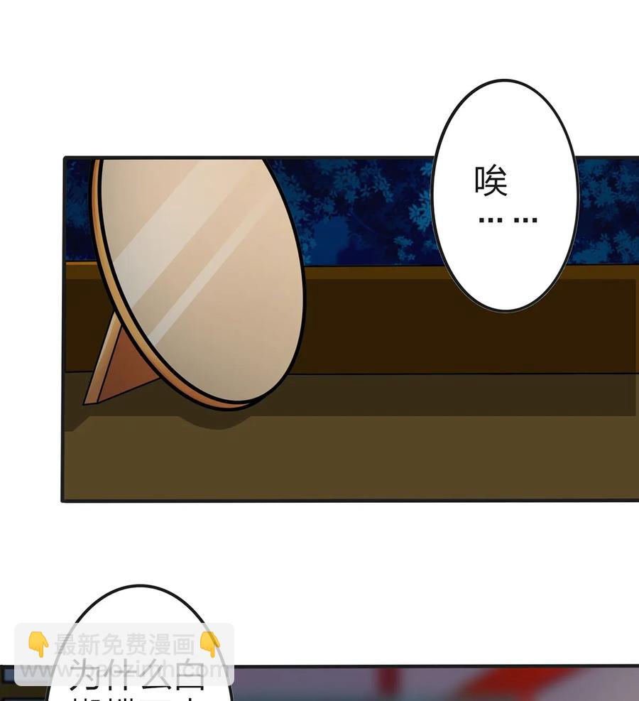 341 白蝴蝶2