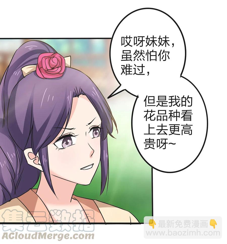 341 白蝴蝶33