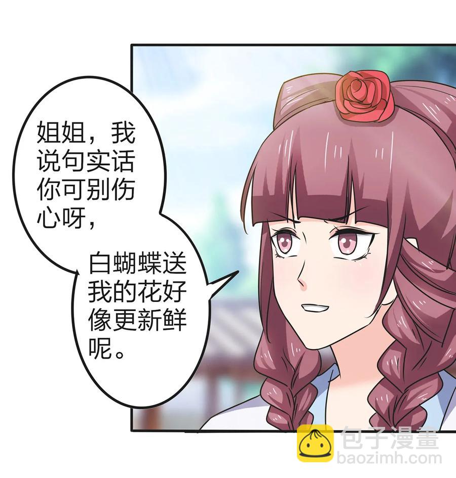 341 白蝴蝶34