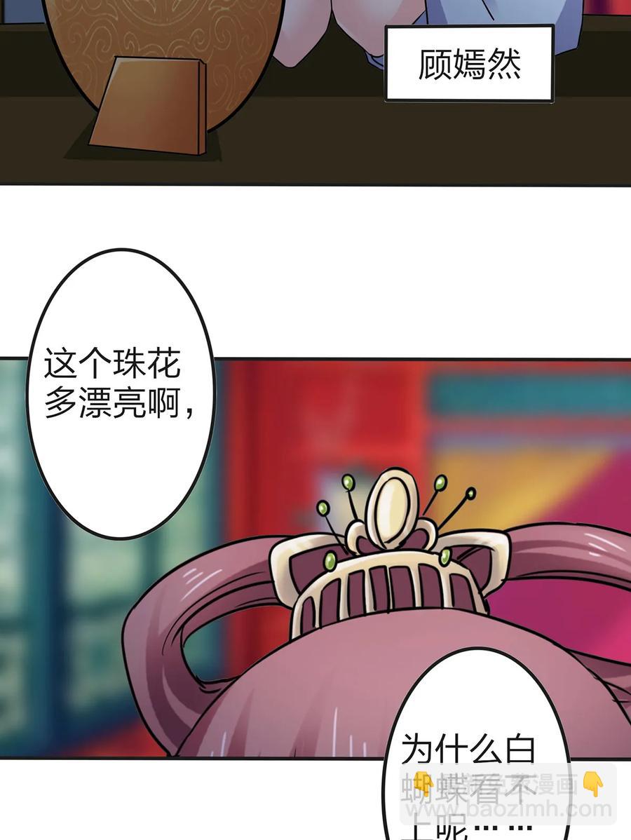 341 白蝴蝶4