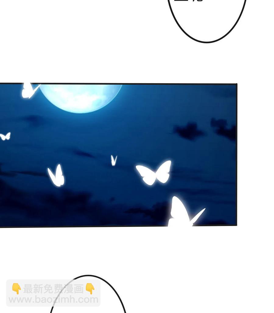 341 白蝴蝶5