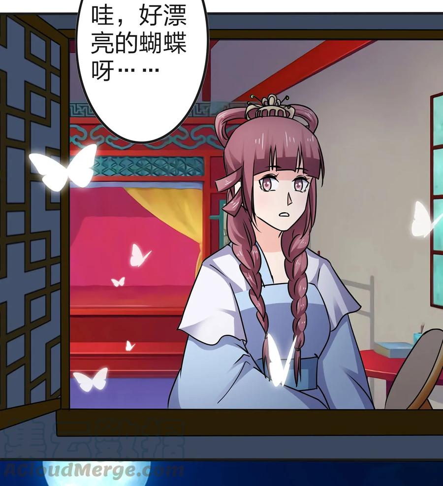 341 白蝴蝶6