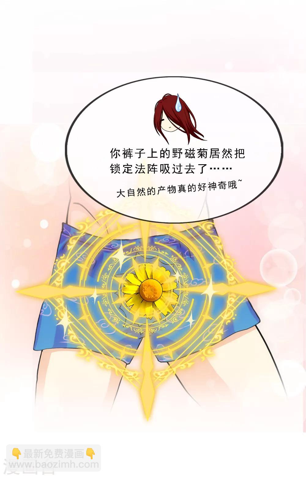 第163话 野磁菊28