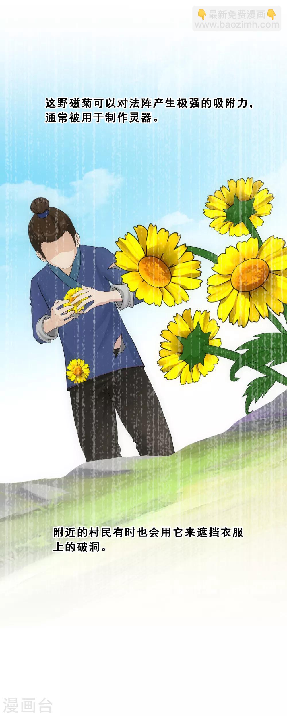 第163话 野磁菊5